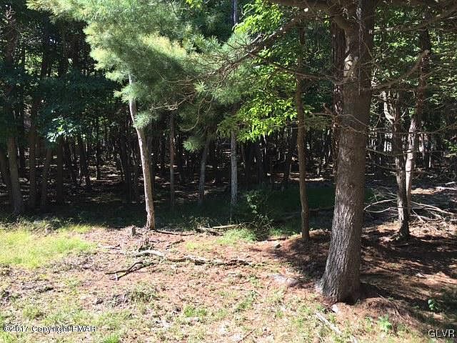 2nd image of Pineknoll Dr