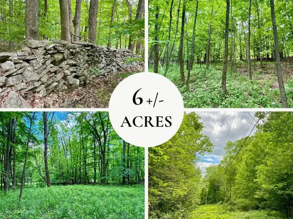 LOT 14 State Highway 10, Jefferson, NY 12093