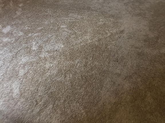 Wall to wall carpet only two years old and clean.