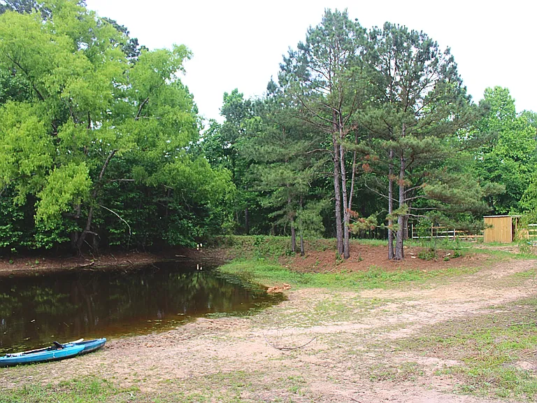 2850 County Road 233D — Photo 29