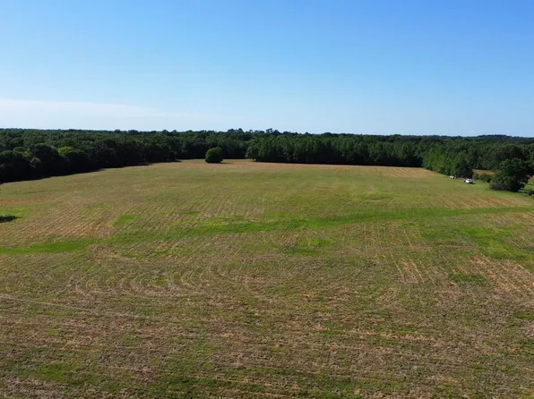 County Road 4930, Quitman, TX 75783