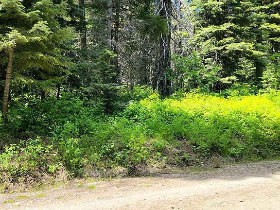 5th image of 1691 Pine Trl