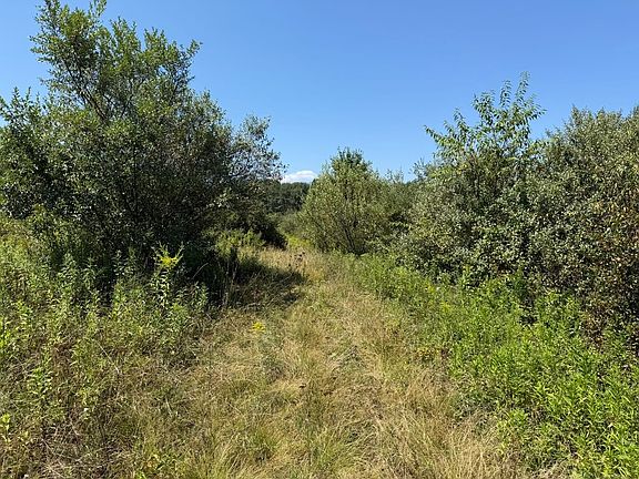 4th image of 0 Black Walnut Rd