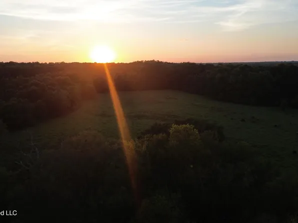 1091 Sharon Rd Lot 8, Canton, MS 39046
