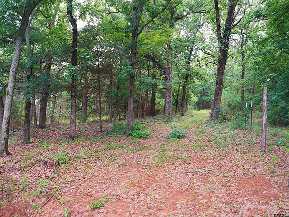 4th image of County Road 413 5/acres Tract 3