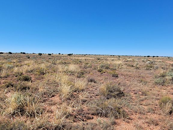 4th image of 2816 E Wingfield Rd