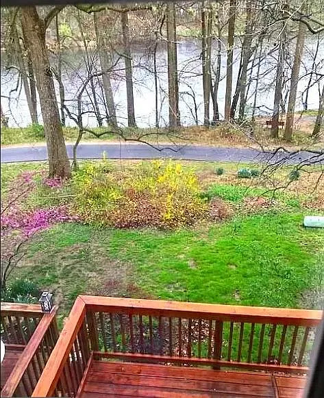 7361 Swan Point Way — Photo 3
