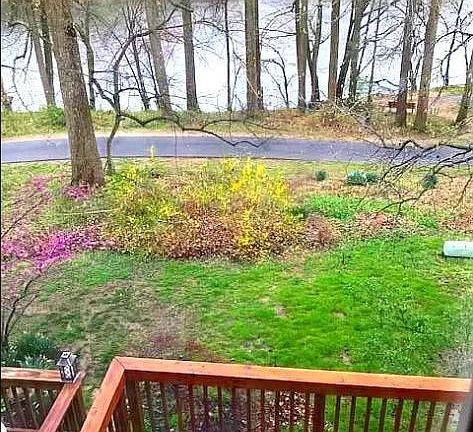 3rd image of 7361 Swan Point Way