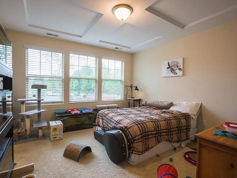 106 Mount Evans Dr — Photo 11