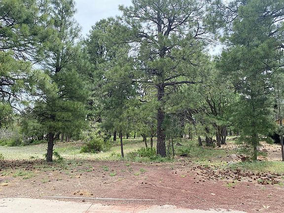 2nd image of 953 S Cypress Poin Lot 205