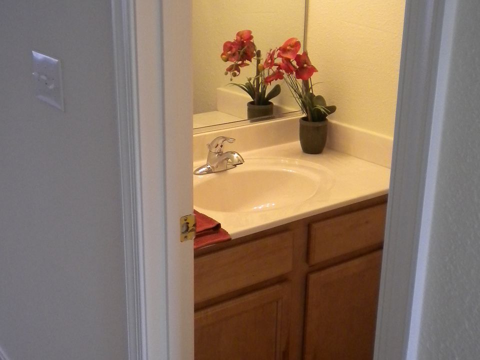 Downstairs Half Bathroom
