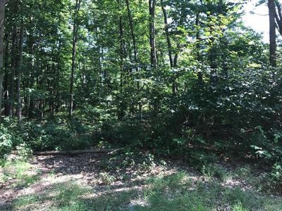 0 Williams Rd, Montague, MI, 49437