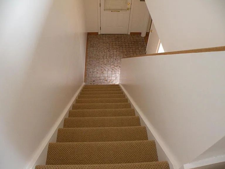 704 Bellefonte St #3 — Photo 26