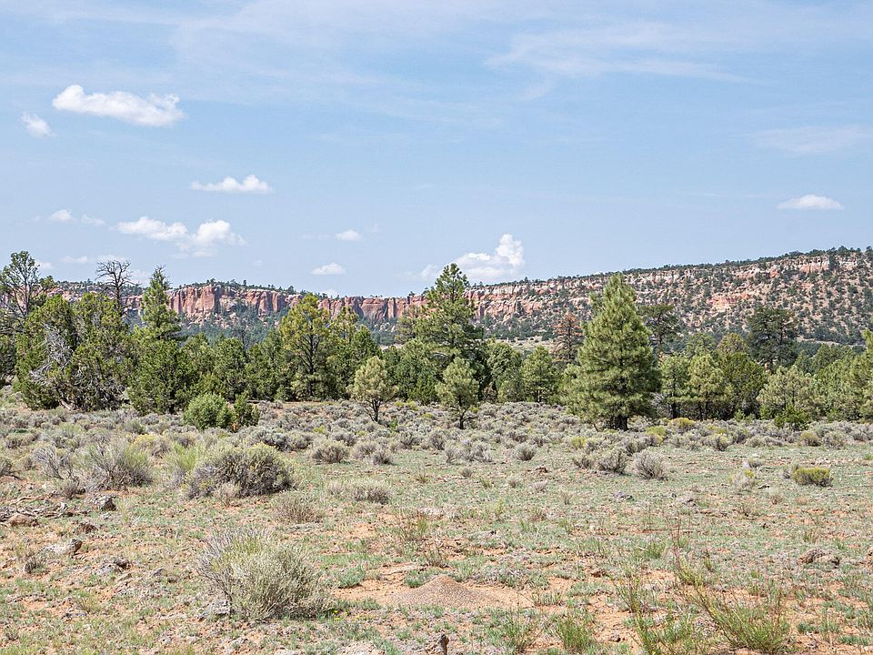 2nd image of TRACT 14 James Valley Rd