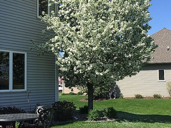 5th image of 1116 Lansdale Cir