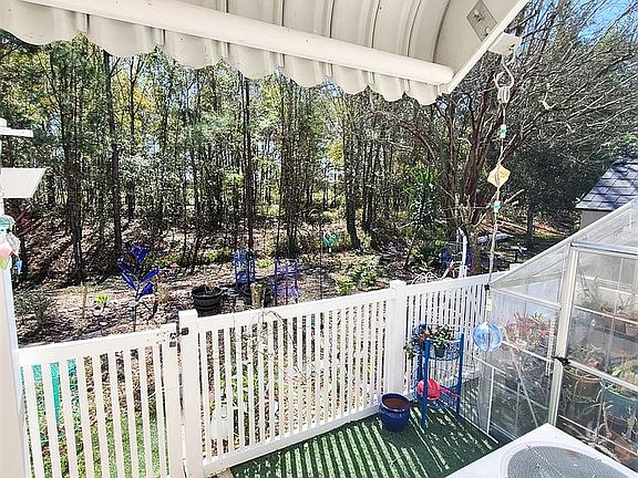 Backyard from back door