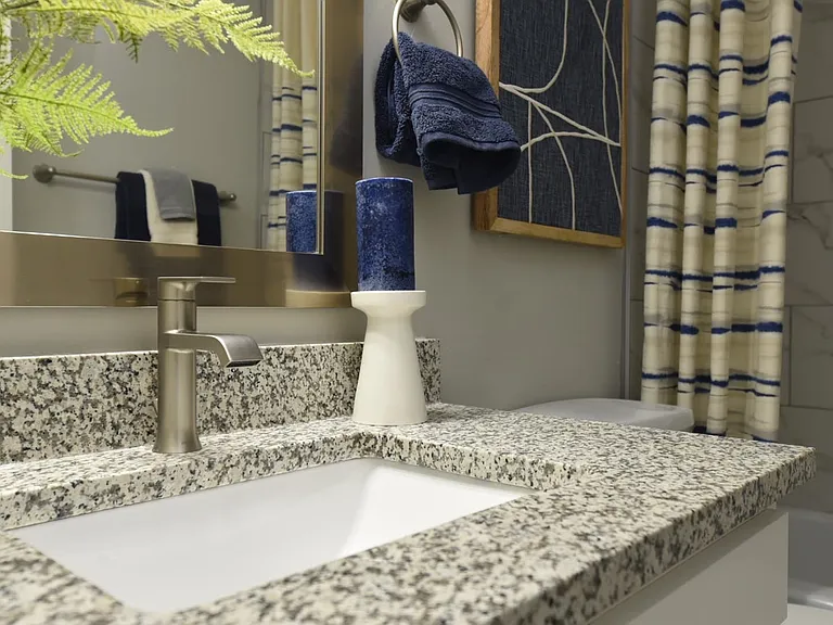 Bathroom + Granite Counters