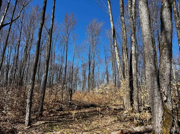 S Hardwoods Dr Lot 25, Manistique, MI 49854