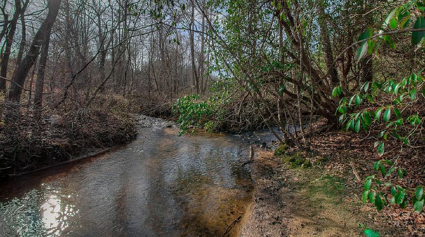 1st image of Jones Creek Ter