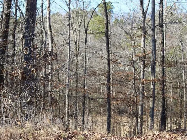 1672 Westchester Ct, Hot Springs National Park, AR 71913