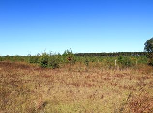 Feagin Rd, Butler, GA 31006