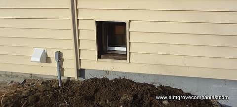 Your little dog is welcome...