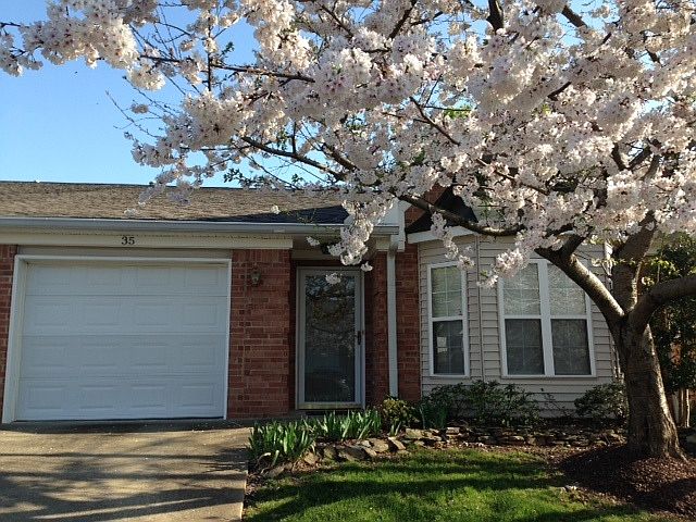 1st image of 35 Holland Park Ln