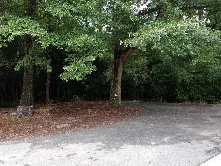283 Tyrone Rd — Photo 25