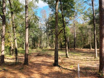 173 Tubbs Ln, Freeport, FL, 32439