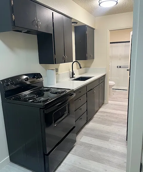 Kitchen with new appliances, quarts countertop, stainless steel sink.