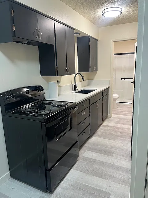 Kitchen with new appliances, quarts countertop, stainless steel sink.