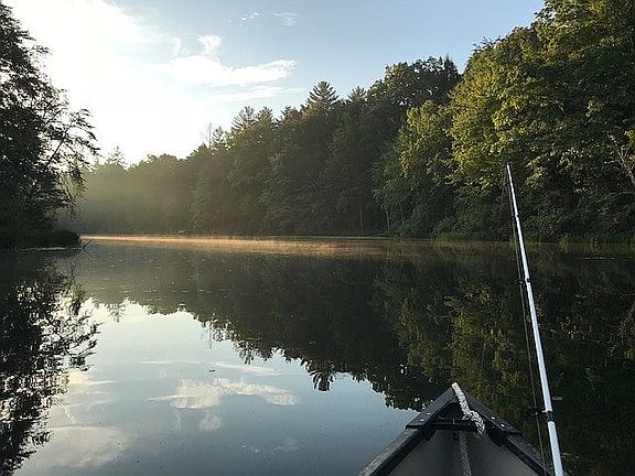 5th image of 414 Basses Creek Ln