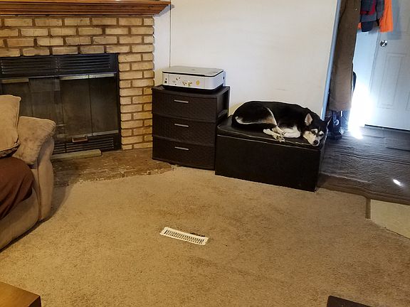 Wood burning fireplace 