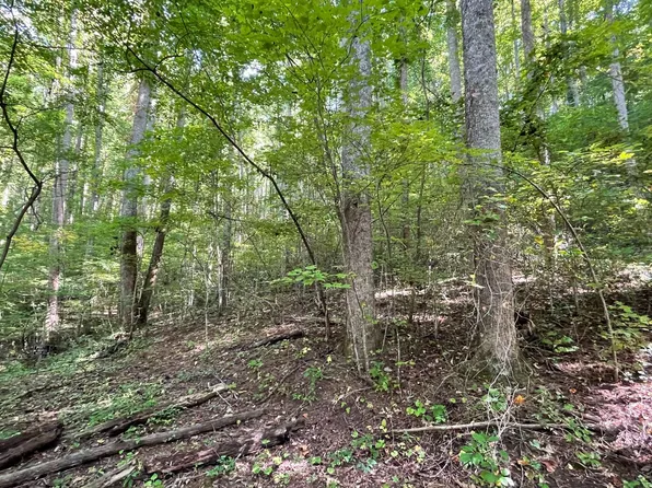 2089 Emmas Way, Hiawassee, GA 30546