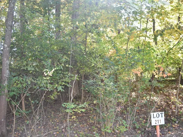 0 Schlitz Dr #211, Fayetteville, OH 45118