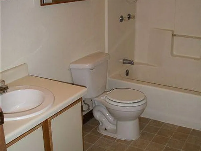 1151 E Hopson St #1151 — Photo 9