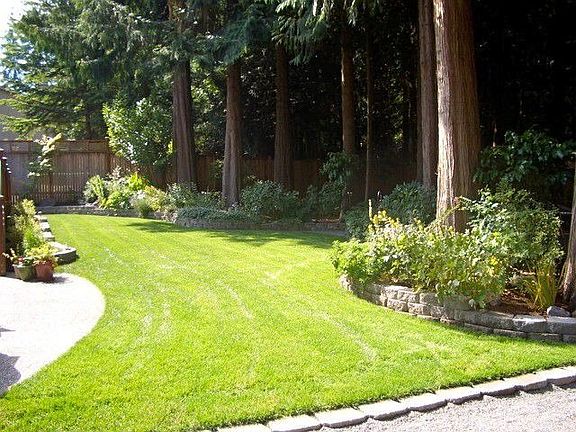 A little more of the parked out back yard