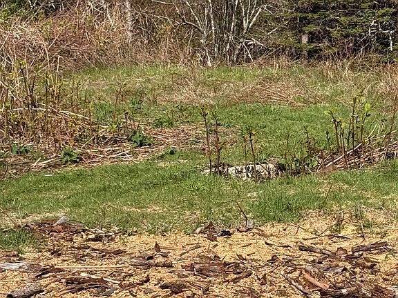 2nd image of 146 Rocco Point Rd