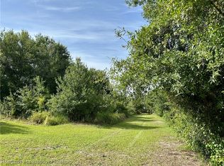 1134 Hopkins Ln, Zolfo Springs, FL 33890