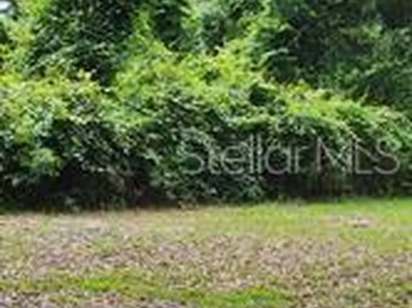 SE 108th Ln, Webster, FL 33597