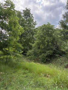 0 Rexford Rd, Grass Lake, MI, 49240