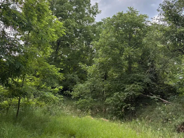 0 Rexford Rd, Grass Lake, MI 49240