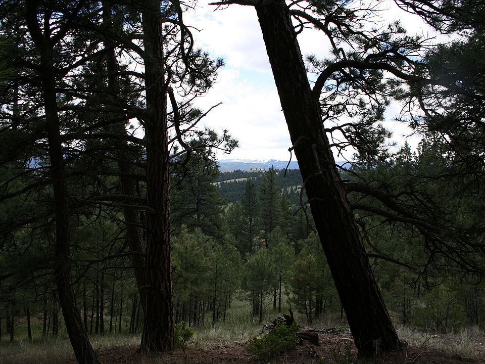 2nd image of 4 Tundra Ridge Rd