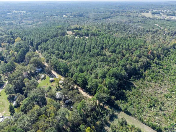 Coppedge Smith Rd, Harleton, TX 75651