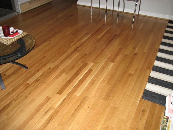 3rd image of 3801 Ferdinand Pl #7