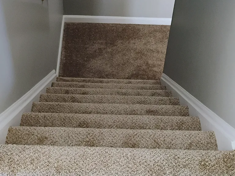 2nd floor stairs - new carpet