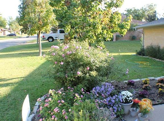 4th image of 6766 Winifred Dr