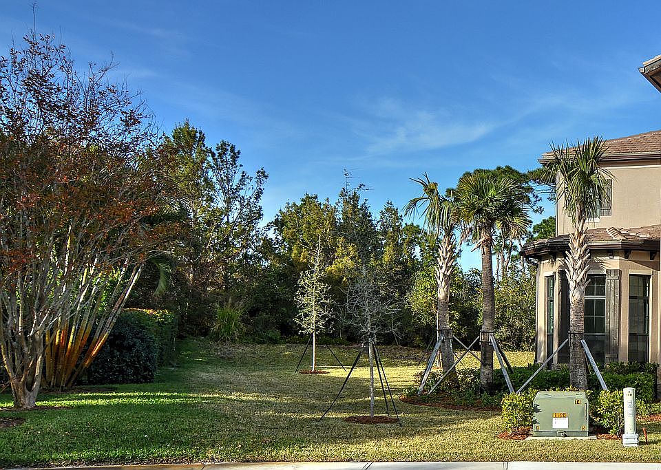 Side Yard