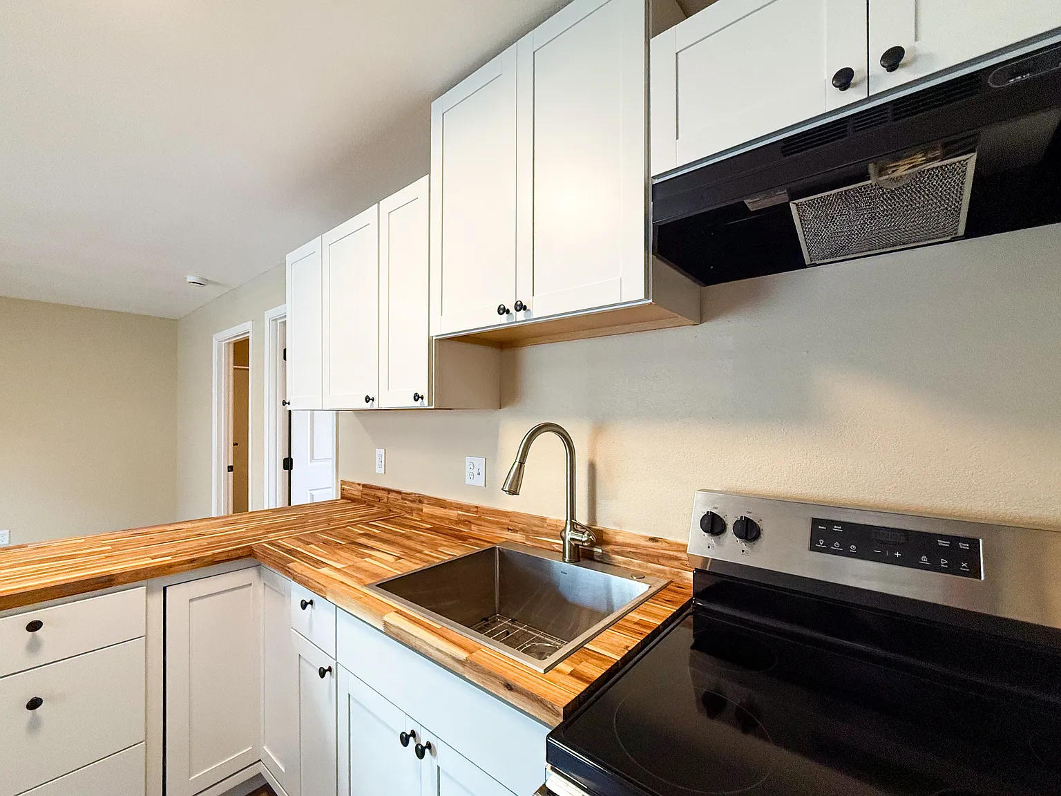 1 bed, 527 sqft, $1,000 — Photo 3