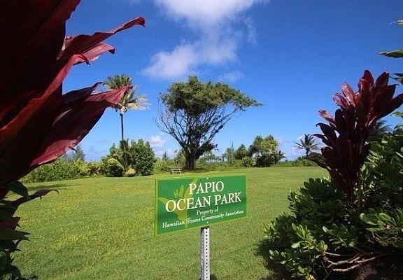 3rd image of Manini St Lot 1169